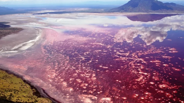 Tanzania’s Lakes