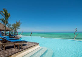12 days honeymoon Tanzania and Zanzibar