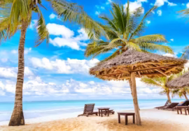12 days safari and beach [chance to see the Mara River crossing plus a flight to Zanzibar]