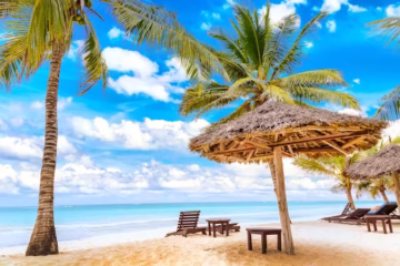 12 days safari and beach [chance to see the Mara River crossing plus a flight to Zanzibar]