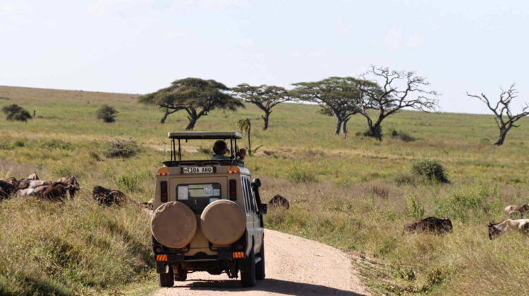 13 DAYS SAFARI + ZANZIBAR HOLIDAY