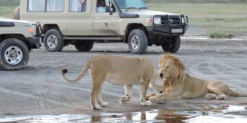 16 DAYS LONG SAFARI IN THE NORTHERN CIRCUIT