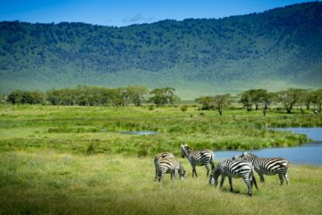 4-day Tanzania Safari extension