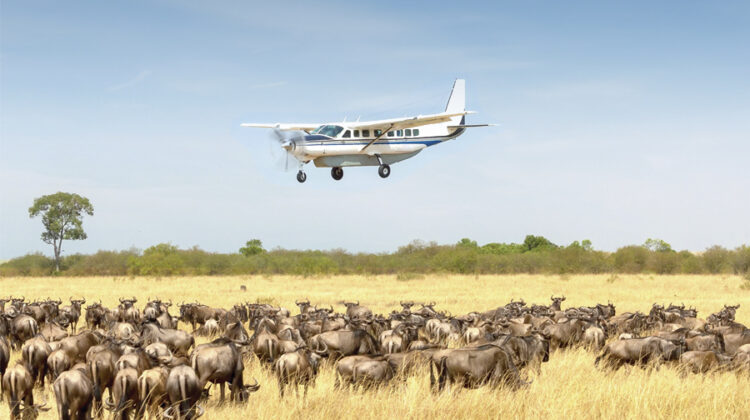 8 DAYS TANZANIA DIAMOND LUXURY – FLYING SAFARI!