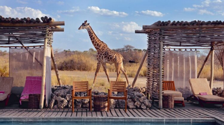 9 DAYS TANZANIA DIAMOND-LUXURY SAFARI WITH ALL MAJOR PARKS!