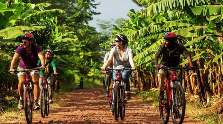 A taste of culture - Mto wa Mbu: Mountain bike ride & Maasai village
