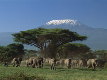 Arusha National Park
