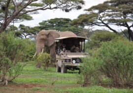 Arusha National Park