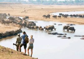 Complete Guide To Planning Your Trip To Tanzania