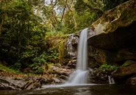 Hike in Udzungwa to the Sanje waterfalls
