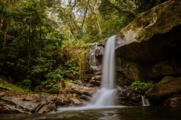 Hike in Udzungwa to the Sanje waterfalls