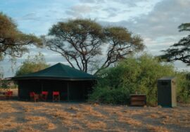 Lake Natron Halisi camp