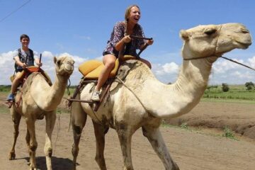 Meserani Snake Park, Maasai Museum and a camel ride