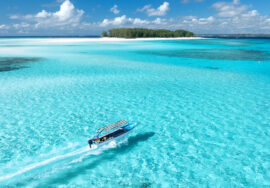 Mnemba Island