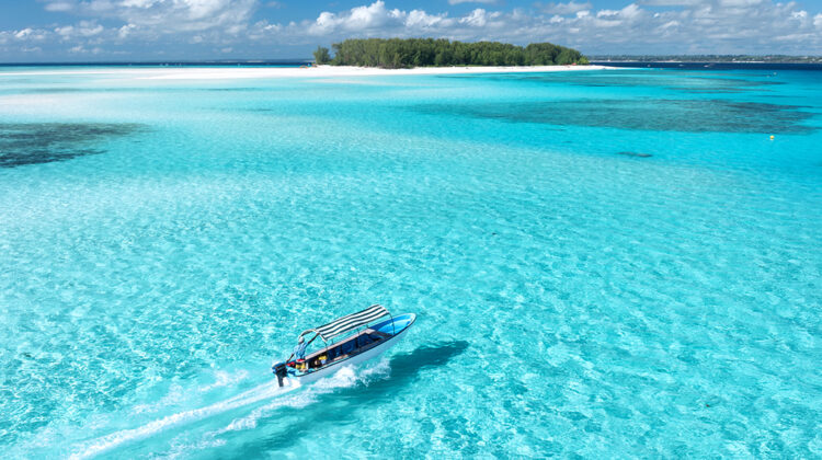 Mnemba Island