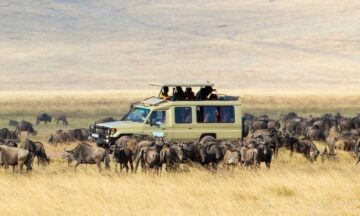 Lake Manyara National Park