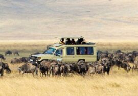 Serengeti National Park