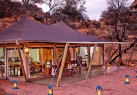 Serengeti Pioneer Camp by Elewana