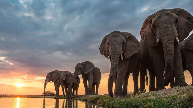 Tanzania: Facts and Useful Tips