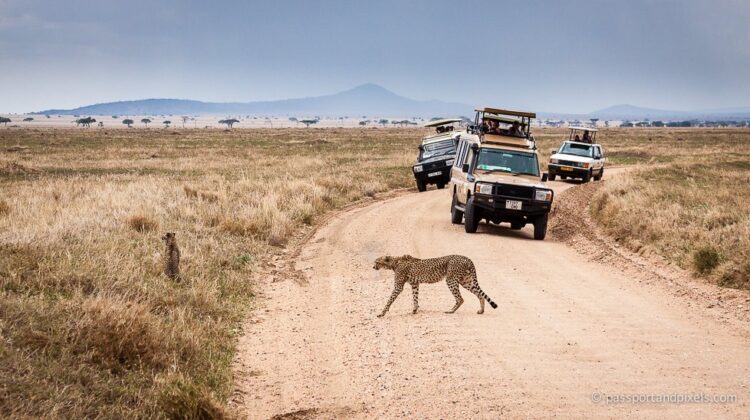 Tanzania Travel