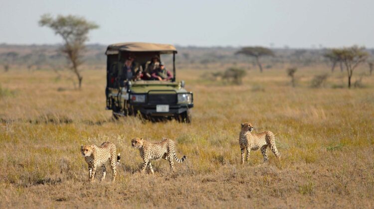 Tanzania Travel Advice