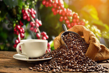 Visit a coffee plantation in Arusha