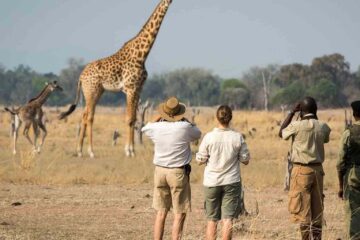 Walking safari Arusha National Park - Half day