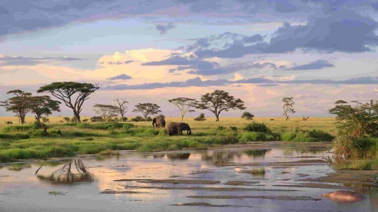 When is the Best Time To Visit Tanzania?