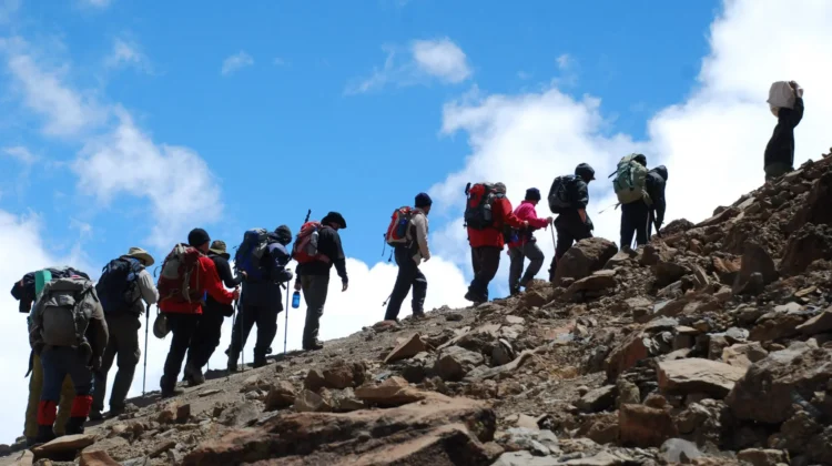 8-day trip: climbing Kilimanjaro via the 5-day Marangu Route with huts