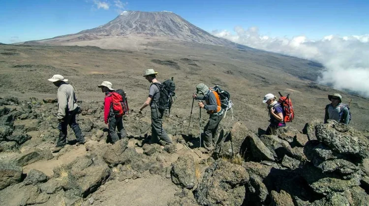 10-day trip: climbing Kilimanjaro via the successful 7-day Lemosho Route