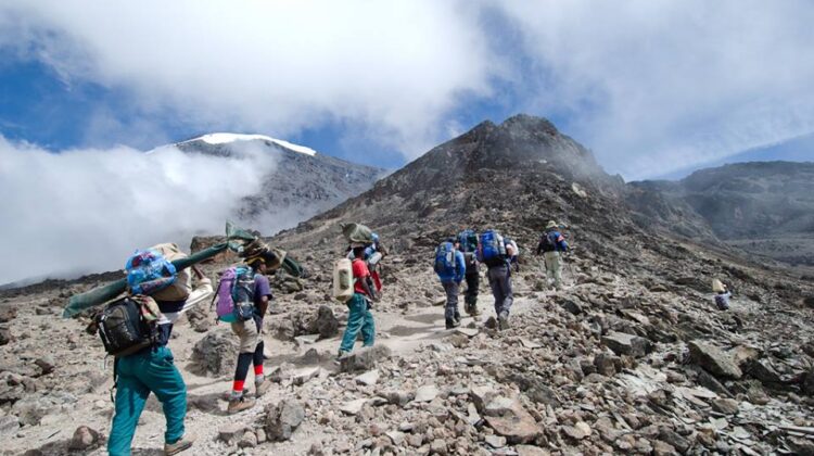11-day trip: climbing Kilimanjaro via the successful 8-day Lemosho Route