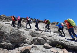 11-day trip: wander up Kilimanjaro via the 8-day Northern Circuit Route