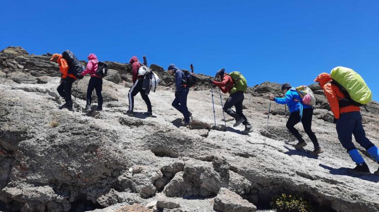 11-day trip: wander up Kilimanjaro via the 8-day Northern Circuit Route