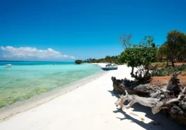 6 Days Pemba Island (safari extension)