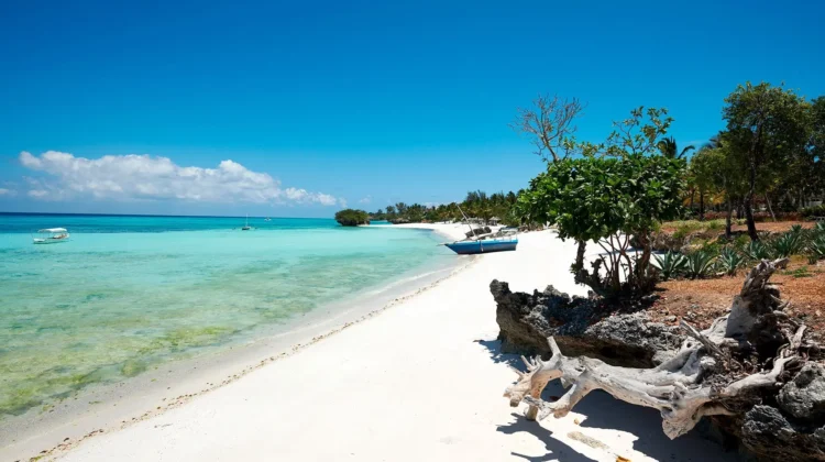 6 Days Pemba Island (safari extension)