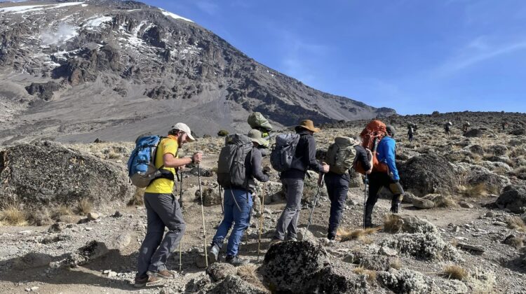 9-day trip: climbing Kilimanjaro via the steep 6-day Umbwe Route