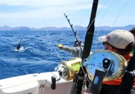 Deep Sea Fishing - Full day