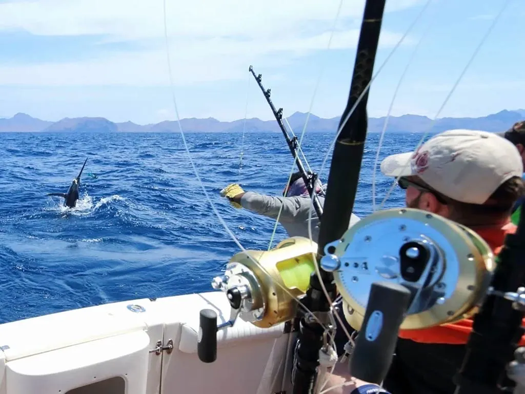 Deep Sea Fishing - Full day