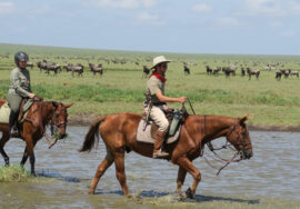 Horseback riding in Arusha