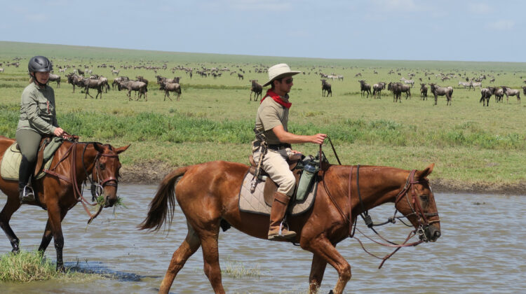 Horseback riding in Arusha
