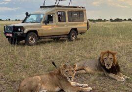 Safari cost Tanzania – How much does safari cost in Tanzania?