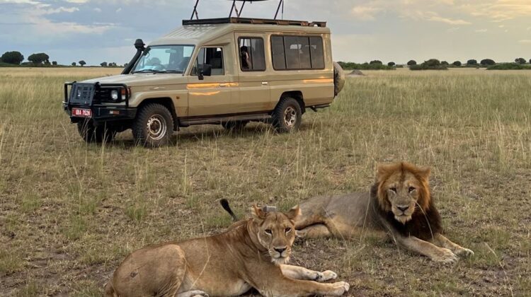 Safari cost Tanzania – How much does safari cost in Tanzania?