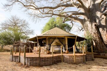 Sanctuary Swala
