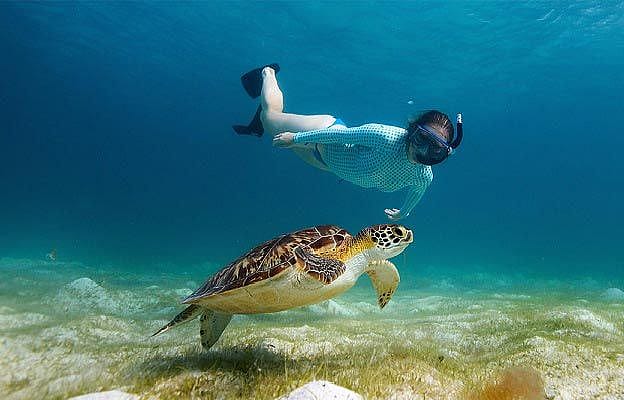 Snorkeling near Mnemba Island