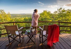 Tarangire Treetops by Elewana