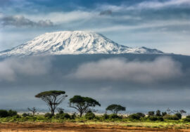 Two-day hike on Mount Kilimanjaro (Marangu route)