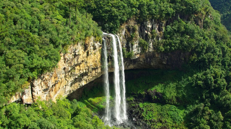 Udzungwa Mountains National Park
