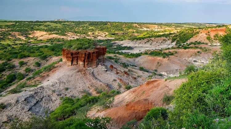 Visit Olduvai Gorge