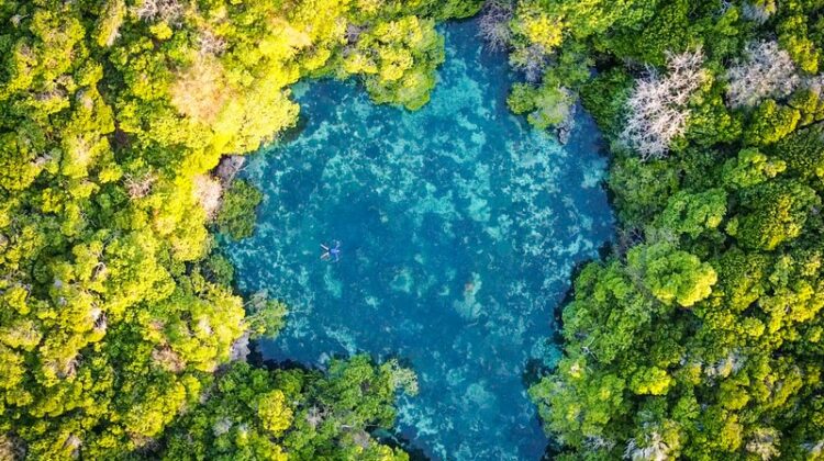 Visit the Blue Lagoon on Mafia