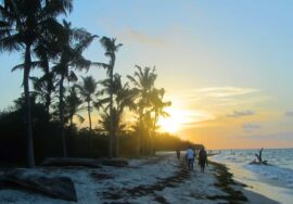 Visit the Marimbani Sandbank